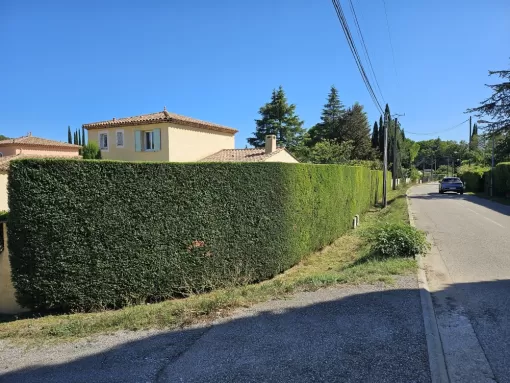 Taille d'une haie de cyprès