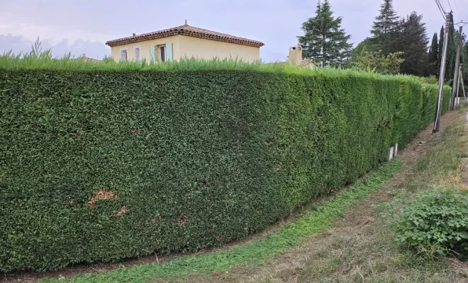 Remise en état d'un jardin et taille de haie sur le Muy , Draguignan, BECHELLI PAYSAGES