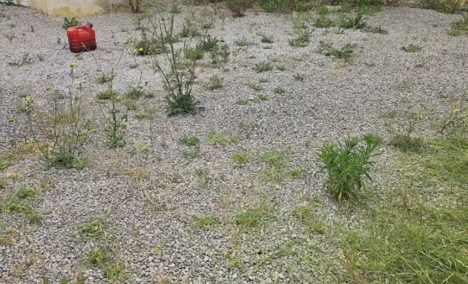remise en état de jardin 