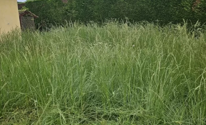 remise en état de jardin 